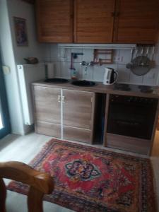 eine Küche mit einer Theke und einem Teppich auf dem Boden in der Unterkunft Ferienwohnung an der Kyll in Birresborn