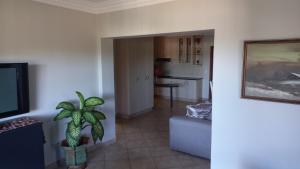 Umtentweni的住宿－8 On Eagle Self Catering Apartment，一间起居室,配有盆栽植物和厨房