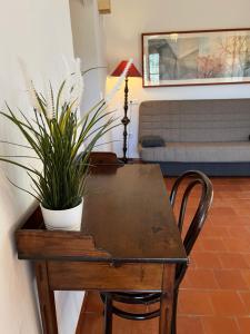 a wooden table with a potted plant on it at La Bodega Enoturismo Rural in Mogente