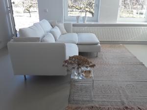 Posezení v ubytování Maan B&B + Galerie