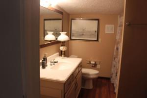 ein Badezimmer mit einem Waschbecken, einem WC und einem Spiegel in der Unterkunft Misty Waters Getaway in Elizabethton