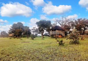 an open field with two houses in a field at Chobe Hideaway 