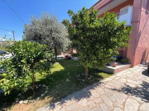 a garden with two trees in front of a house at VILLA ARMONIA GUEST HOUSE in Prinos