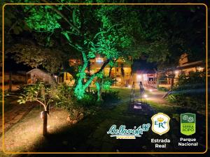drzewo oświetlone w nocy zielonymi światłami w obiekcie Pousada Bella Vista w mieście Serra do Cipo