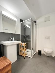 a bathroom with a sink and a shower and a toilet at Plein Coeur de la Vieille Ville de Sion in Sion +8 photos