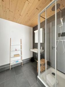a bathroom with a shower and a sink at Plein Coeur de la Vieille Ville de Sion in Sion