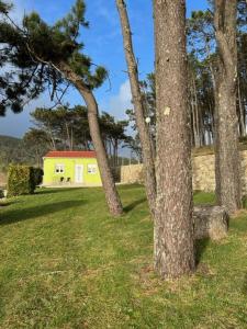 Vonkajšia záhrada v ubytovaní Apartamento Playa de Lires