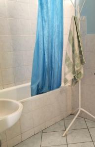 DonskoyeにあるDomik na myse Taranのバスルーム(青いシャワーカーテン付きのシャワー付)