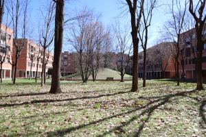 a group of trees in front of a building at A Casa Tua in Bologna