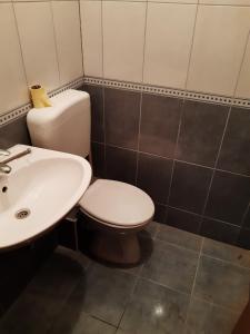 La salle de bains est pourvue de toilettes et d'un lavabo. dans l'établissement Apartment Helios 1, à Lokva Rogoznica