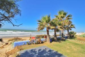 vistas a una playa con palmeras y al océano en Un paso hacia el mar en Chipiona