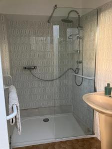 een badkamer met een douche en een wastafel bij Gîte les Tilleuls in Le Guédéniau