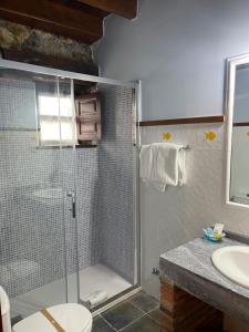 a bathroom with a shower and a toilet and a sink at Posada La Llosa de Viveda - Adults Only in Santillana del Mar