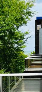 a view of a building with a tree and stairs at Beira Mar Premium Apart - Solar do Atlântico Tambaú in João Pessoa