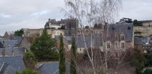 een stad met een groot kasteel op de achtergrond bij Appartement de charme Amboise in Amboise