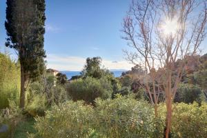 vistas a un jardín con árboles y arbustos en Le jardin de Neptune en Rayol-Canadel-sur-Mer