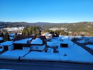 a winter view of a village with snow at Mitterdorf - apartmán Almberg in Philippsreut