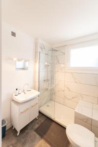 W łazience znajduje się prysznic, umywalka i toaleta. w obiekcie LE DAUPHIN - Place parking privée gratuit - WIFI et TV w mieście Saint-Étienne