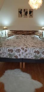 een slaapkamer met een bed en een wit tapijt bij Appartement de charme Amboise in Amboise