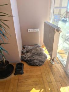 Fotografie z fotogalerie ubytování Apartman *Joy* v destinaci Osijek