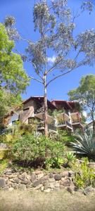 una casa con un árbol delante de ella en La Vista - Un lugar de Ensueño, en Samaipata