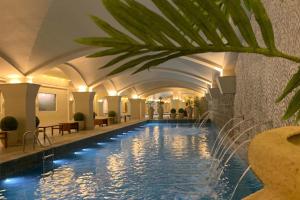 a pool in a hotel with a palm tree next to it at Hotel em Gramado - Buona Vitta in Gramado