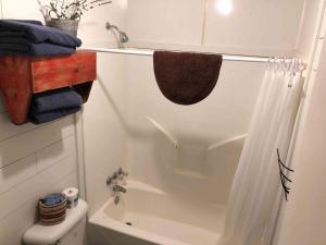 a bathroom with a shower curtain and a toilet at Lakefront Cabin - Texoma Coast - 14 in Mead +4 photos