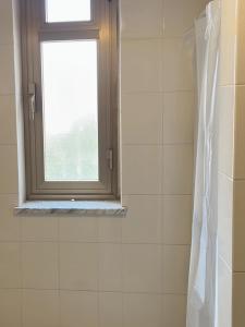 利卡斯戴勒的住宿－Appartamenti e Stanze Onde Blu，浴室设有窗户和白色瓷砖淋浴。