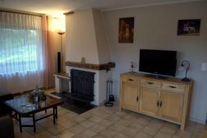 ein Wohnzimmer mit einem TV und einem Kamin in der Unterkunft CasaVitis Erholung am Weinberg in Lontzen