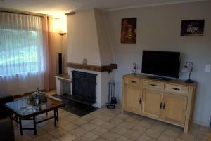a living room with a television and a fireplace at CasaVitis Erholung am Weinberg in Lontzen