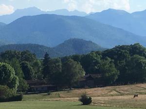 uma vaca num campo com montanhas ao fundo em Earth, Mountains and Snow em Saint-Laurent-de-Neste