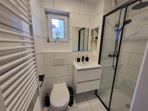 a bathroom with a toilet and a sink and a shower at Studio Alicia, idéalement situé in Brussels