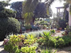 Zahrada ubytování Finca Alqueria Fosca