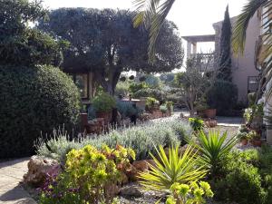 Zahrada ubytování Finca Alqueria Fosca