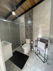 ein Bad mit einem WC, einer Dusche und einem Waschbecken in der Unterkunft Sapancamtbungalov in Sapanca