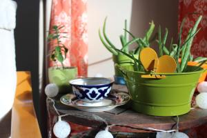 eine Pflanze in einem grünen Topf auf einem Tisch mit einer Platte in der Unterkunft La laiterie du Moulin in Montivilliers