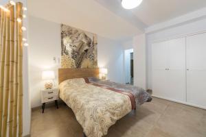 1 dormitorio con 1 cama y vestidor en una habitación en Precioso Loft El Arcángel II junto a la Ribera, en Córdoba