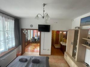 a living room with a table and a television in it at Miklós FKK Naturist Apartment in Szigetszentmiklós