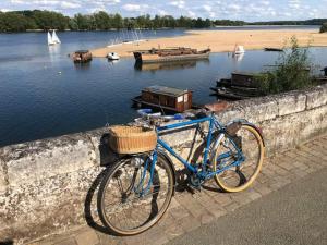 una bici blu parcheggiata su un muro vicino a un corpo d'acqua. di B&B Côté Loire a Les Rosiers