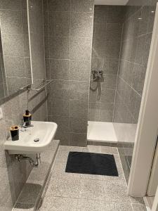 ein Bad mit einem Waschbecken und einer Dusche in der Unterkunft Glessener Braustube in Bergheim