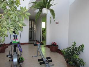 a room with two exercise bikes and potted plants at Hotel Habitat in Ibagué