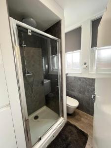 a bathroom with a shower and a toilet at On the Quay in Harwich