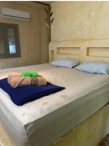 Ліжко або ліжка в номері Bavaria Surf House