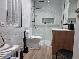 a bathroom with a shower and a toilet and a sink at Casa Roman LUX in León +27 photos