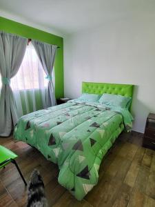 un dormitorio con una cama verde con un gato sentado al lado en NIRELLE CALAFATE SUITES en El Calafate