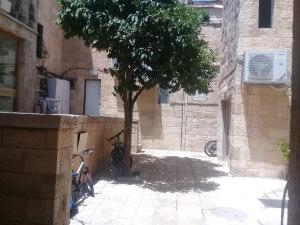 un árbol y dos bicicletas estacionadas al lado de un edificio en Magical old city apartment דירת אירוח מקסימה בלב הרובע היהודי, en Jerusalén