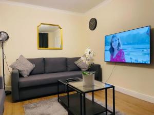 a living room with a couch and a tv on a wall at Hotel 3H in Stafford