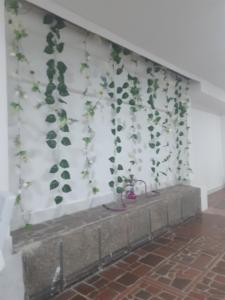 una pared con hiedra creciendo en ella en Private room MH102 close to old city, en Cartagena de Indias