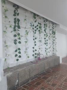 a wall with ivy growing on it at Private room MH102 close to old city in Cartagena de Indias