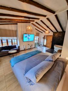 a large bed in a living room with a tv at Reñaca House Bed & Breakfast in Viña del Mar